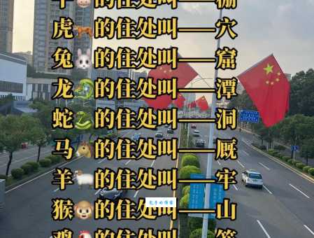 莘莘学子猜一生肖正确答案揭晓原来是这个动物