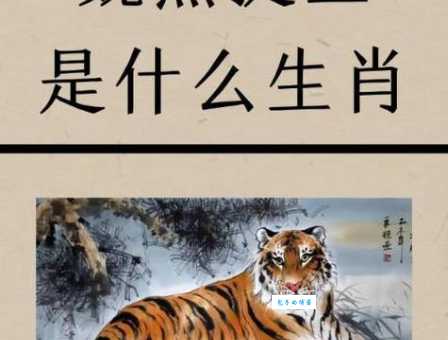 千载难逢开过什么生肖？完整版答案在这里！