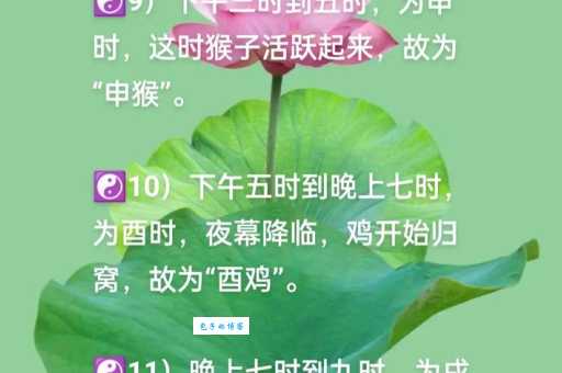直道守节是什么生肖？看看你的生肖上榜没
