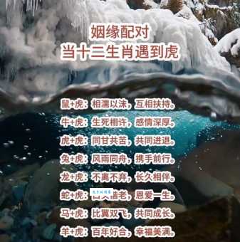 虎口余生是指什么生肖原来答案不是老虎