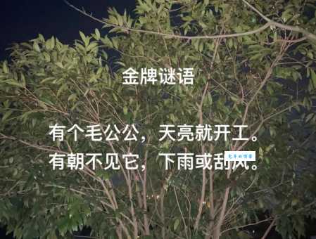 风云突变打一生肖是什么？这个谜语背后有啥说法