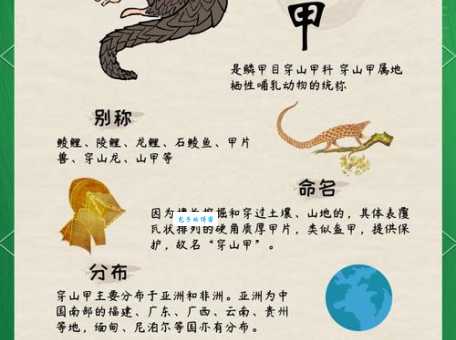 身穿鳞甲是先锋是什么生肖？答案原来是这个动物