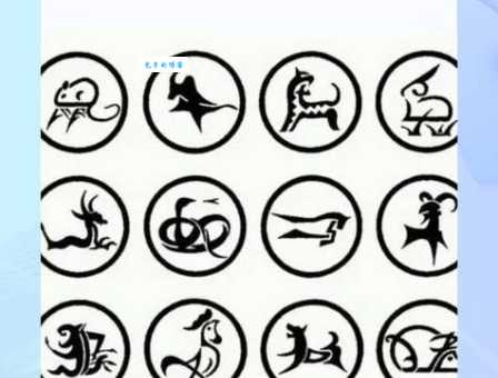 说长道短的动物是什么生肖