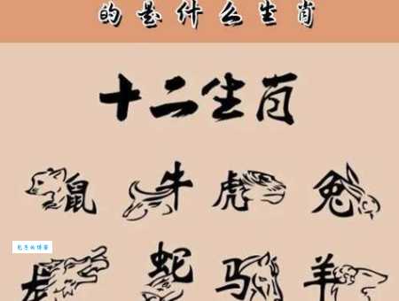 呼风唤雨是什么生肖？一个生肖就能掌控天气