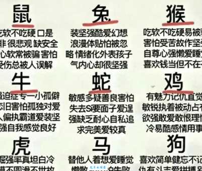 一针见血是什么生肖？揭秘这个生肖的直爽性格