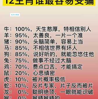 一针见血是什么生肖？揭秘这个生肖的直爽性格