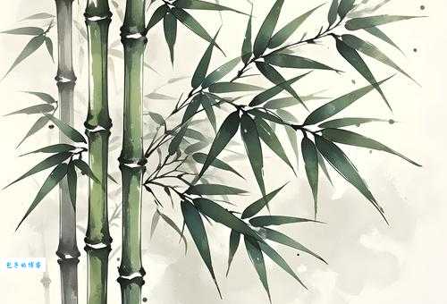 竹子生来节节高打一肖生肖答案就在这里别错过