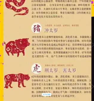 远见卓识是什么生肖