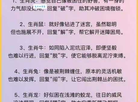 四蹄奔奔是什么生肖？原来和这个特点有关