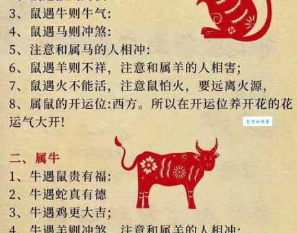 生别死离是什么生肖?这几个生肖最让人心疼!