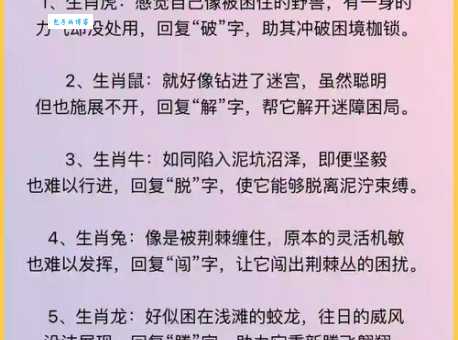 痴呆懵懂指的是什么生肖？原来这几种动物最懵懂！
