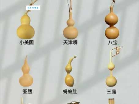 闷嘴葫芦是比喻哪个生肖？这些生肖性格最内向