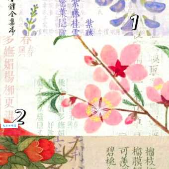 洞庭连天打一生肖的答案是什么？生肖达人分享他的看法！