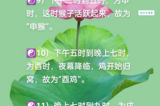 神出鬼没的动物指什么生肖？教你如何正确判断！
