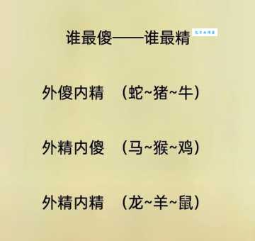 兵在精而不在多打一正确生肖是哪个？高手直接告诉你答案！