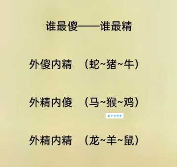 和平共处打一最佳生肖怎么猜?掌握这几点轻松搞定!