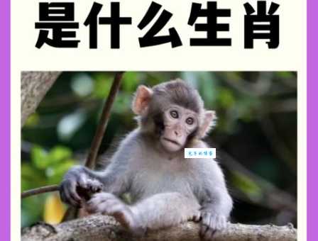 一见如故打一个生肖怎么解？答案就藏在这篇文章里！