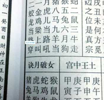 犀牛望月打一生肖是什么意思?(和月亮有关的生肖原来是它)