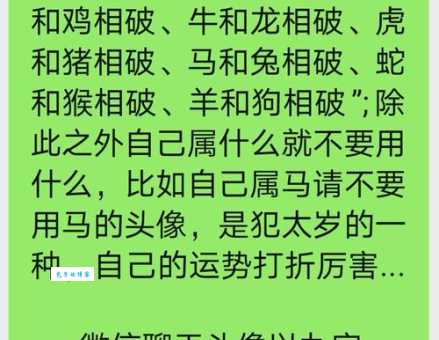 穷追不舍是什么生肖？揭秘背后的生肖动物故事！