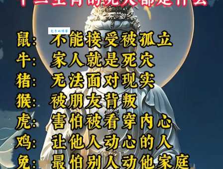 穷追不舍是什么生肖?揭秘背后的生肖动物故事!