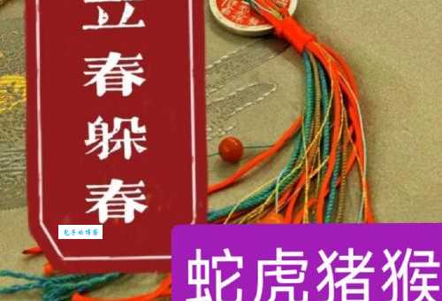 采花大盗是指什么生肖?民间说法终于解开了!