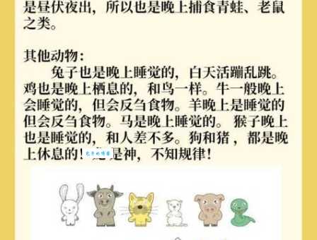 狼烟四起打一精准生肖到底是什么？生肖谜底秒懂！