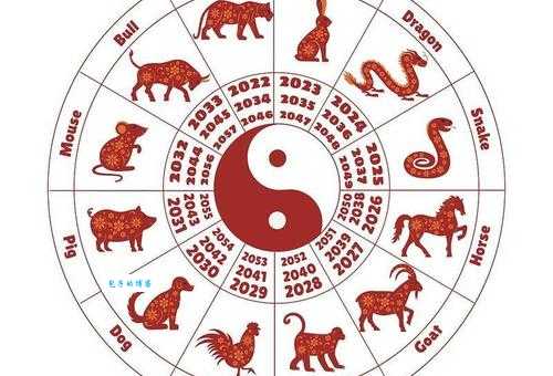 小巧玲珑是什么生肖？一分钟快速找到正确答案！