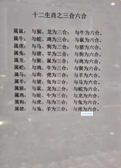 满脸生花打一最佳生肖的含义分析!看看你猜对了吗?
