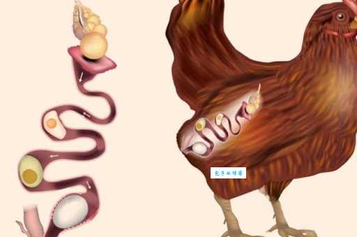 最爱记仇的小肚鸡肠是什么生肖?和他们交往要注意了!