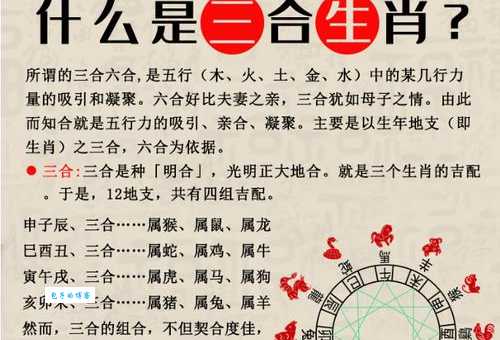 三足鼎立是指哪个生肖?别再猜错了正确答案在这里!