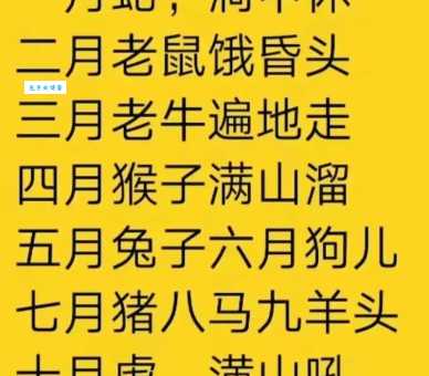 为什么这些生肖总是过得最辛苦?(公认自讨苦吃的生肖)