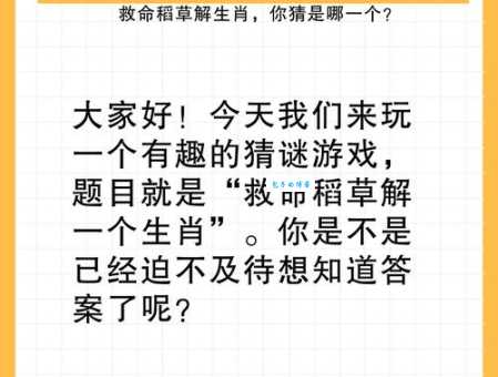 素面朝天是什么生肖？老司机教你快速猜中谜底！