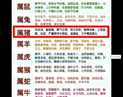 正大光明是什么生肖?独家揭秘生肖背后的真正答案!