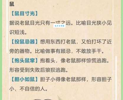 谁知道四大皆空是指什么生肖？解密这个谜题就靠它了！
