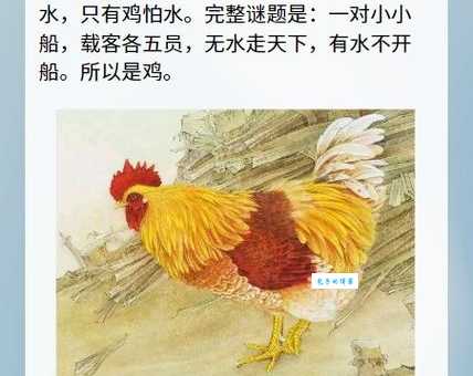 临鸡惊晓是什么生肖代表?快速了解背后的寓意!