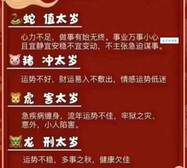 哪个生肖金榜题名最精准生肖?2025年最新预测揭秘!