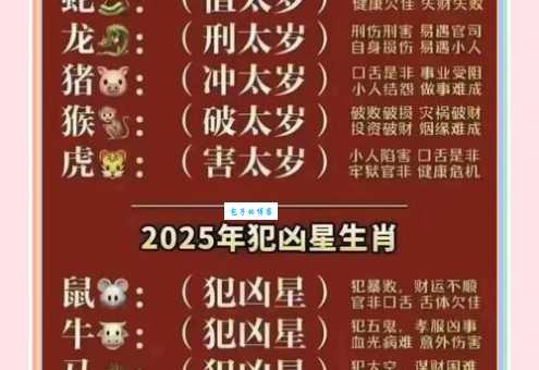 哪个生肖金榜题名最精准生肖？2025年最新预测揭秘！
