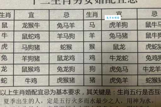 搅海翻江小七煎最佳生肖揭秘！教你一招快速锁定正确答案