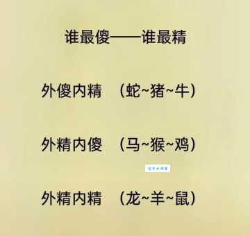 着手回春打一准确生肖是什么?资深高手告诉你!