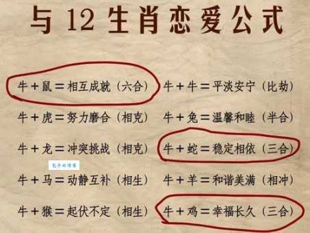 脚踏实地打一正确生肖的答案是什么？看专家怎么解析生肖牛！