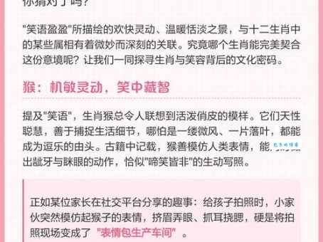 骂狗打鸡猪在笑打一准确生肖的答案难吗？（高手都是这样猜的）