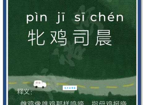 寻花问柳是什么生肖动物?老司机告诉你可能是“鸡”!