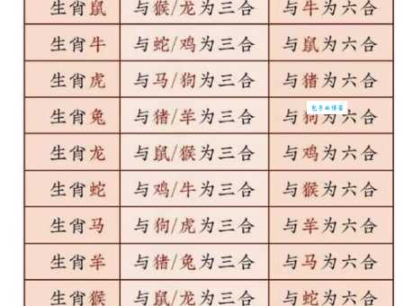 一家老小打一生肖的准确答案是什么?高手教你快速猜中!