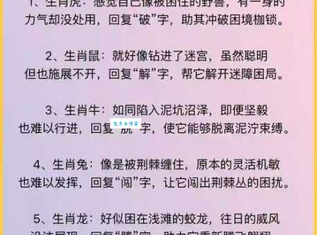 铁面无私打一准确生肖是什么？(生肖大神给你最权威解析)