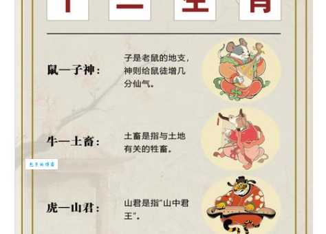 万全之计是什么生肖？生肖专家教你一招轻松猜中！