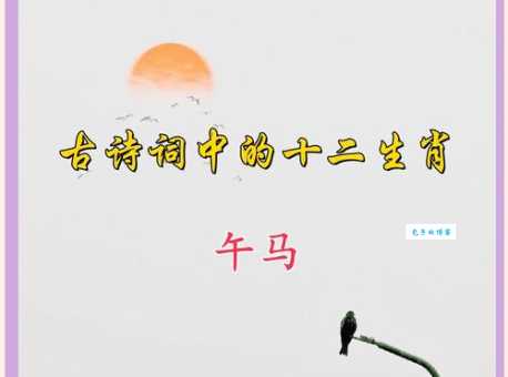 天马行空是什么生肖？老一辈都说真正的答案是它！