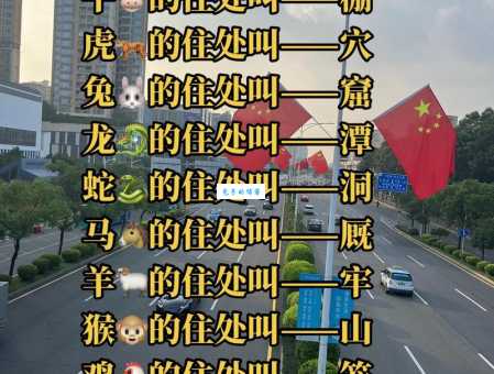 秋声正在八月九打一准确生肖的答案是什么？快来看正确解析别错过！