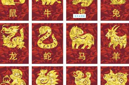 穿金戴银戴兰花是什么生肖？老彩民告诉你！