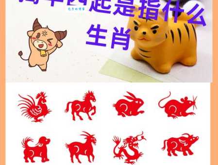 快速猜出龙骧虎步是什么生肖?记住这3个口诀!