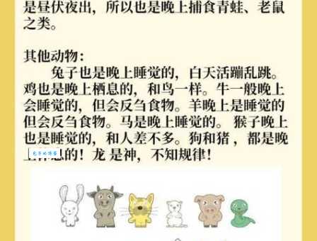 快速猜出龙骧虎步是什么生肖？记住这3个口诀！